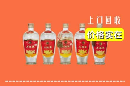 诚信求购:江门市蓬江高价回收老五粮液